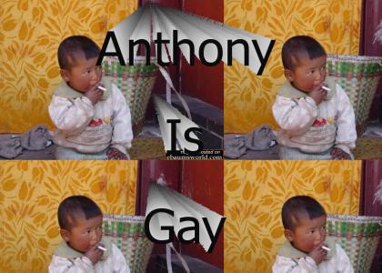 Anthony Is Gay