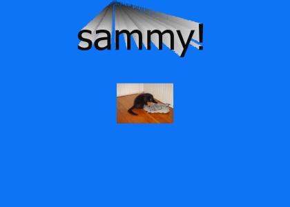 Sammy!