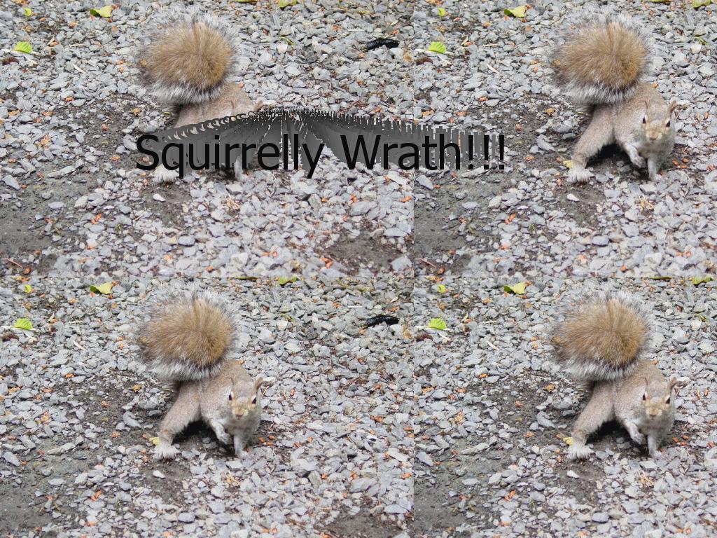 squirrelwrath