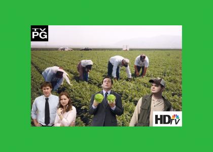 the lettuce patch NBC spinoff