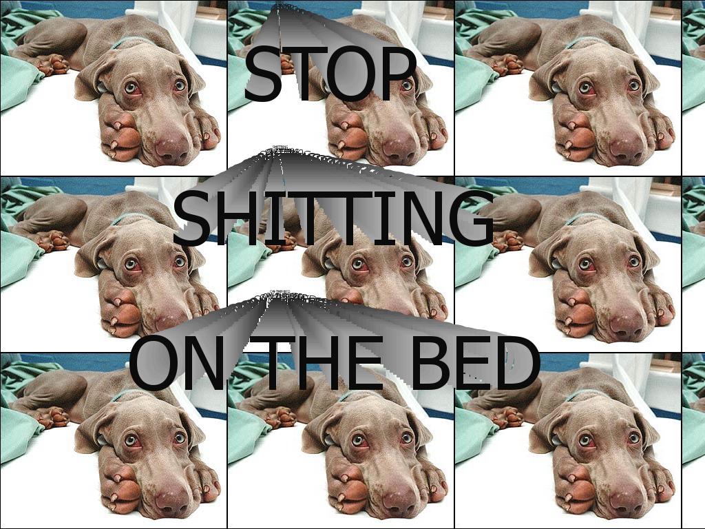 stopshittingbed