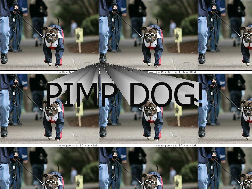 pimpdog