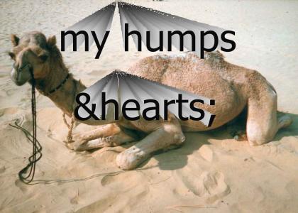 my humps