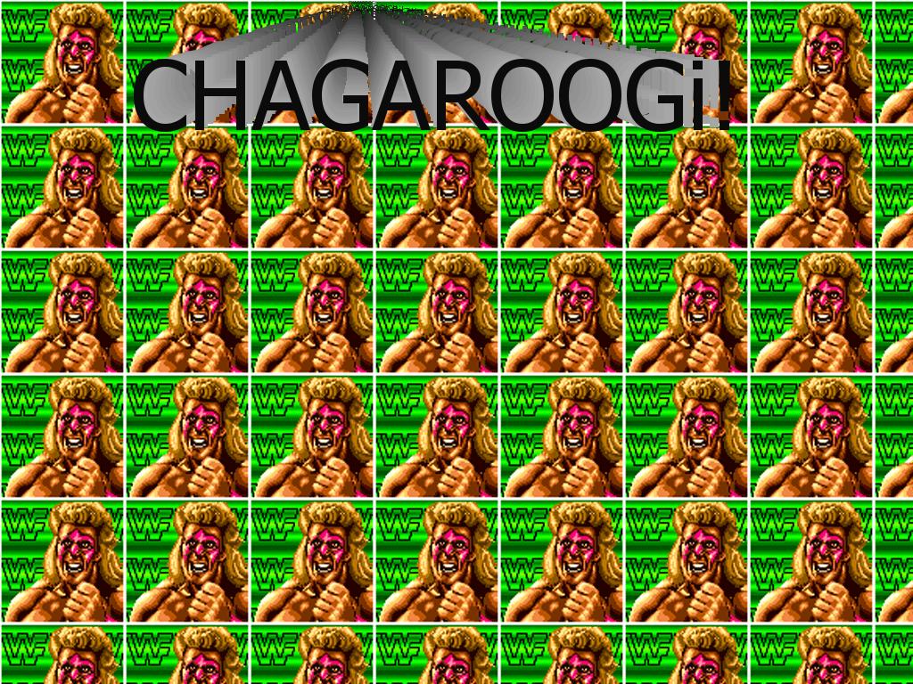 CHAGAROOGi