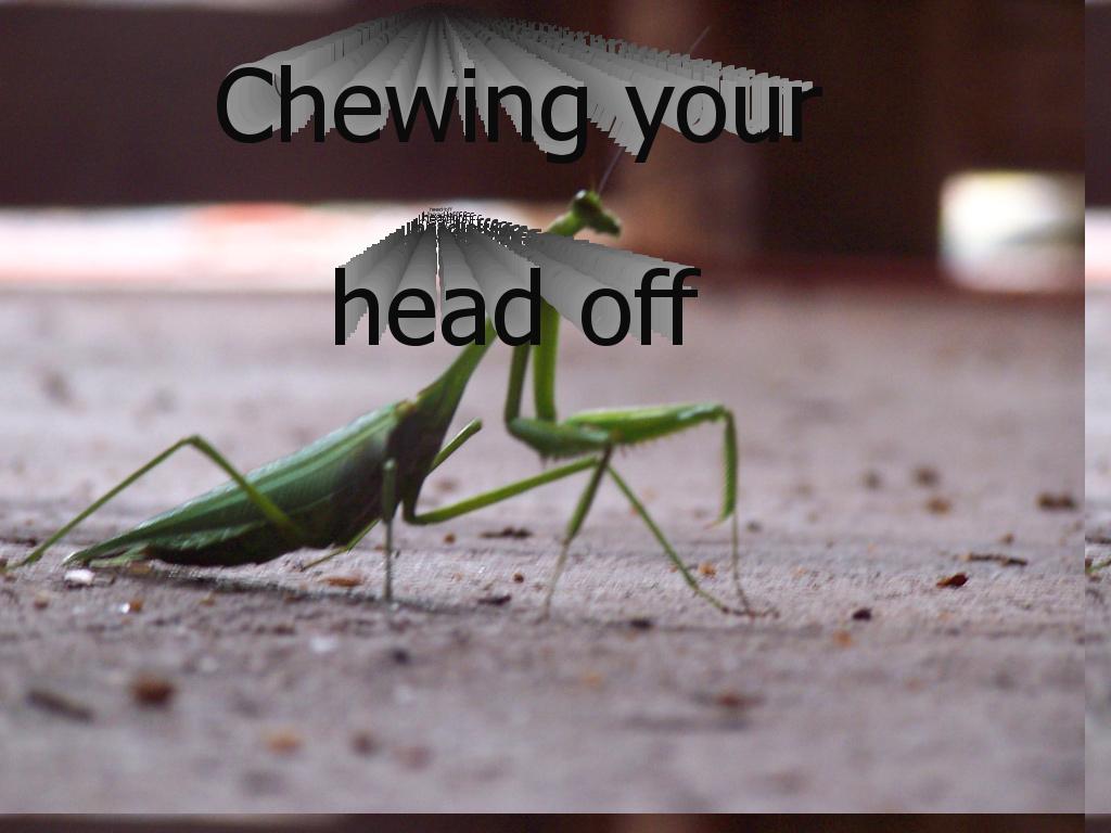 imakeytmndsaboutprayingmantises