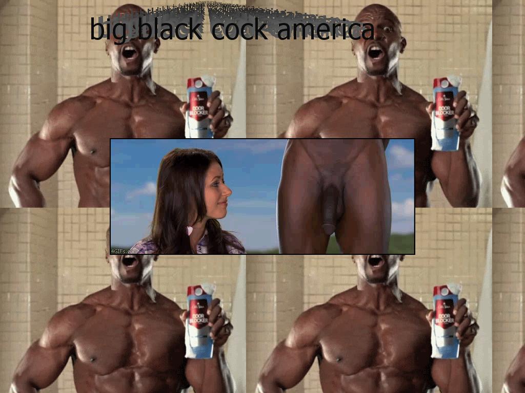 bbcamerica