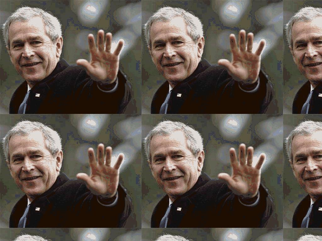 is-bush-retarded