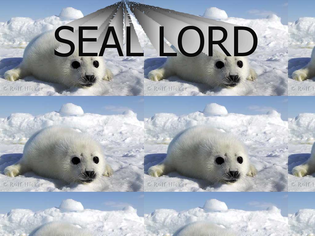 sealbaby