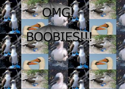 OMG BOOBIES!