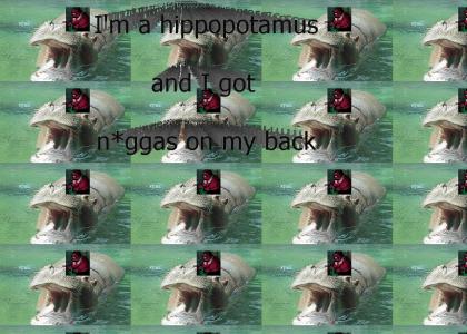 Hippopotamus With N*ggas On His Back