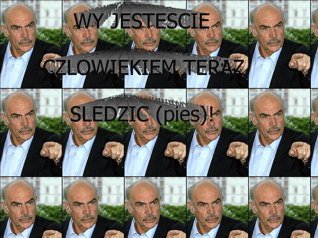 ytmndpolishversion