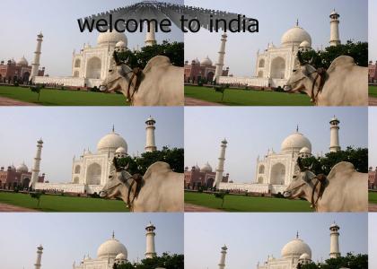 welcome to india