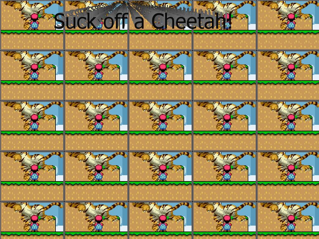 cheetahdick