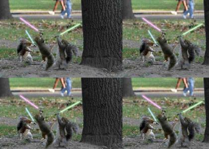 Jedi Squirrel