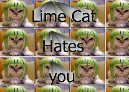 Limcat hates you