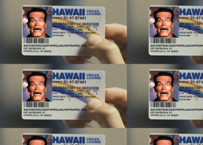 Arnold's New License