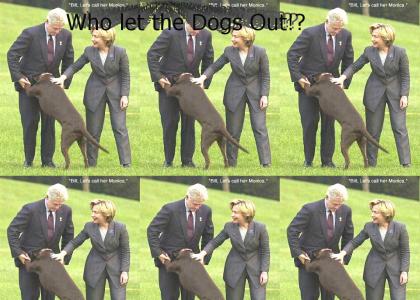 Who let the Dogs out, on Bill?