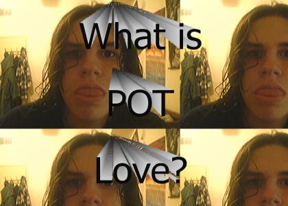 What is POT love?