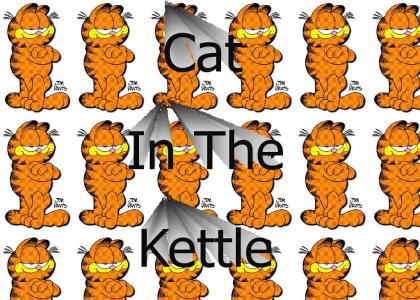 cat in the kettle