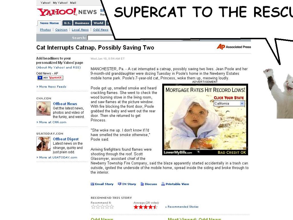 familysupercat