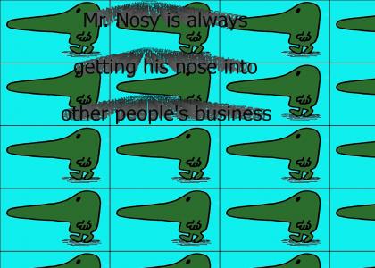Mr nosy