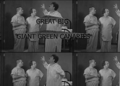 GREAT BIG GIANT GREEN CANARIES