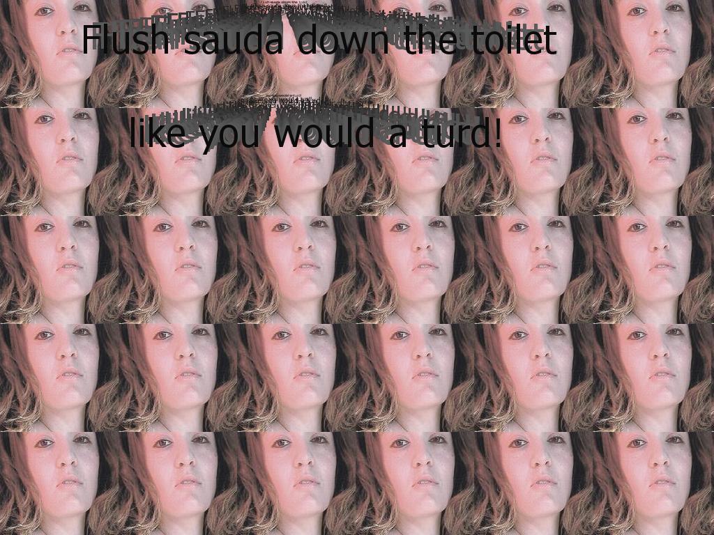 flushsauda