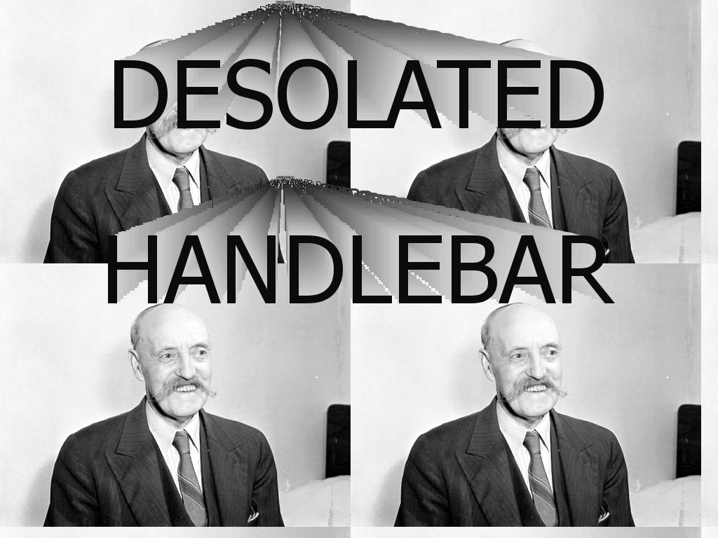 desolatedhandlebar