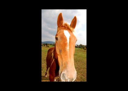 Sarah Jessica Parker doesnt change facial expressions