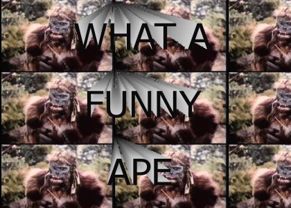 Funny Ape Lafferz
