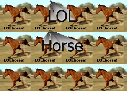 lol Horse