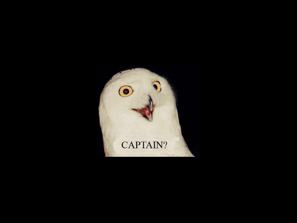 captainwot