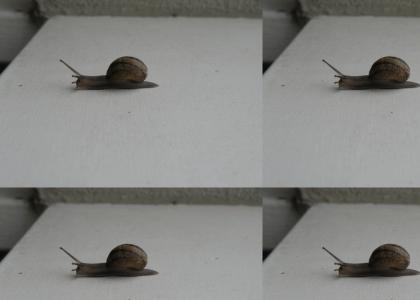 Epic Snail Maneuver