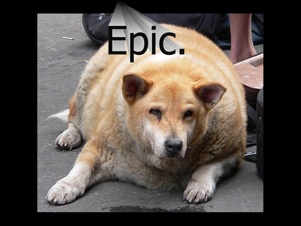 epicdog