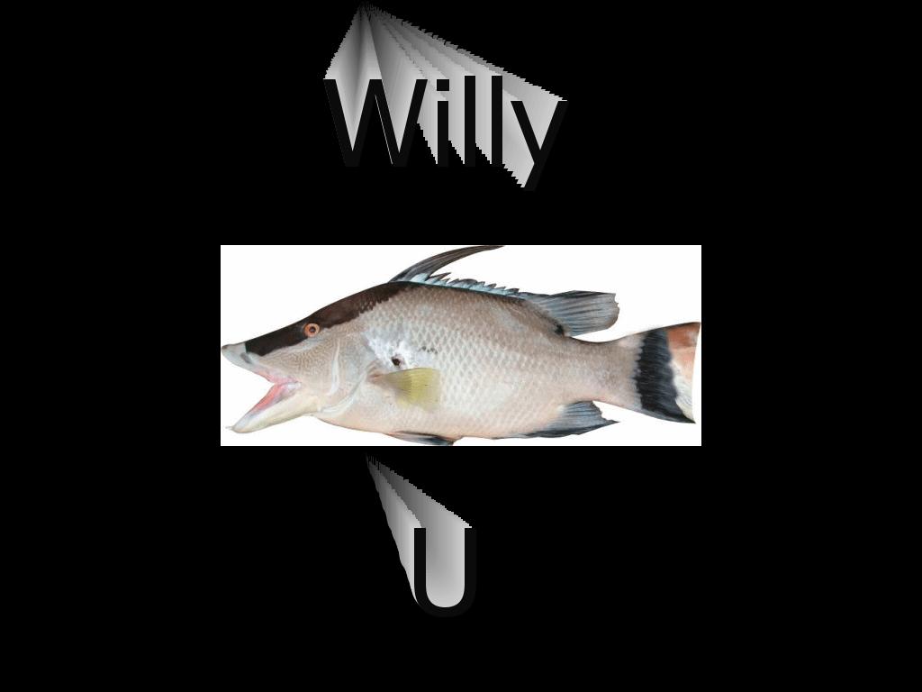 willyfish