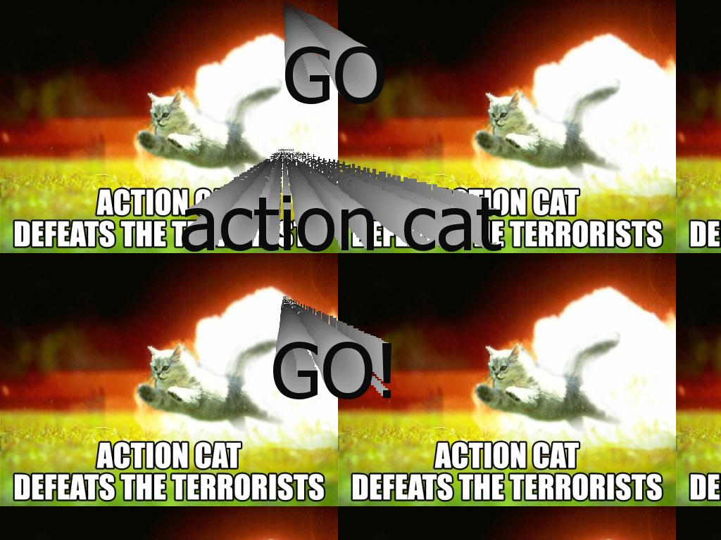 actioncatdefeatstheterrorists