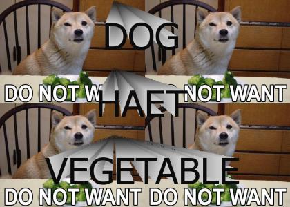 DOG HAET VEGETABLE