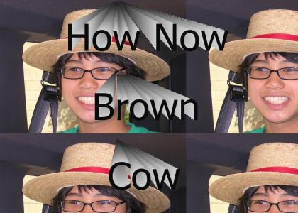 hownowbrowncow