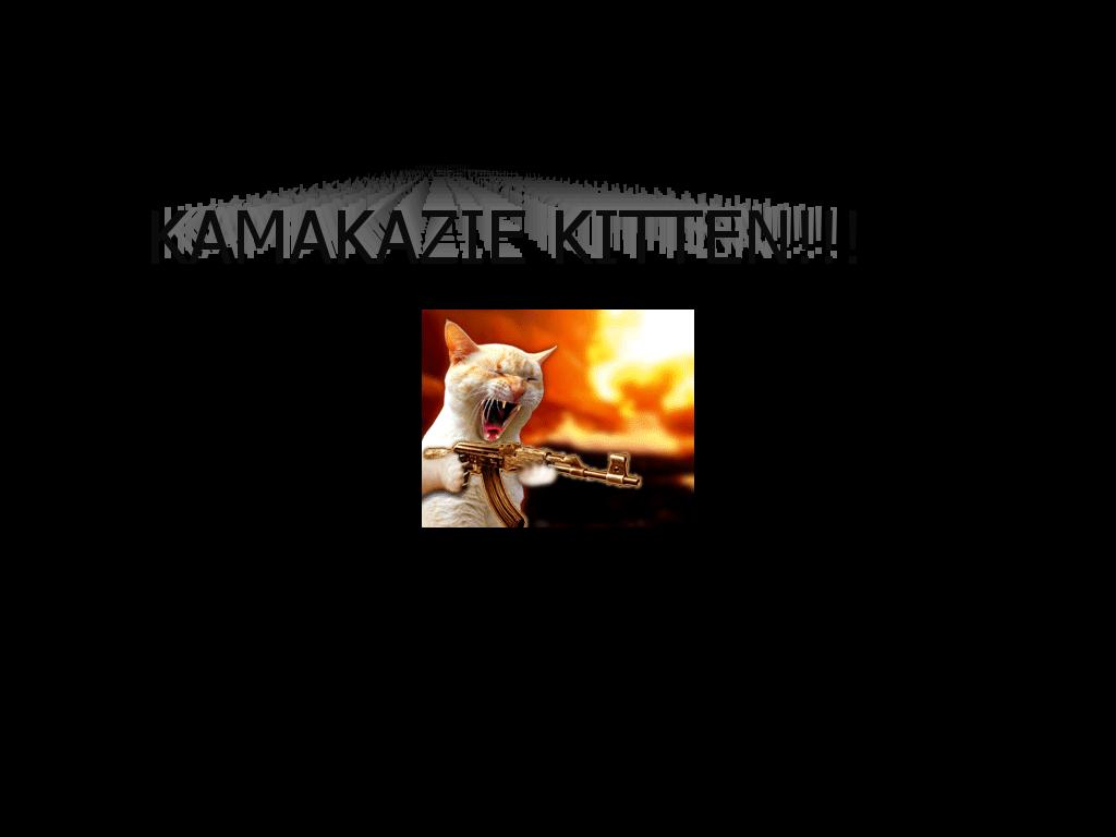 kamakaziekitten
