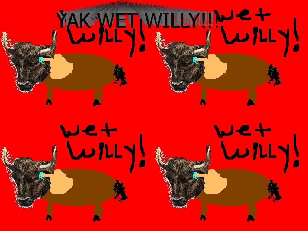 wakweywilly