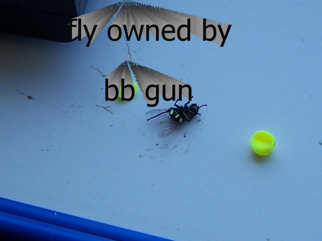 flyvsbbgun