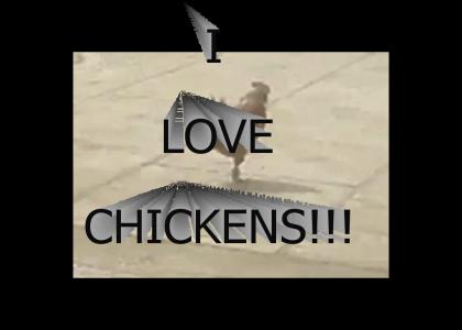 I like chickens!