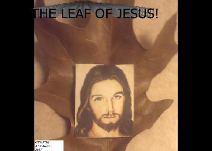 J2: THE LEAF OF JESUS!