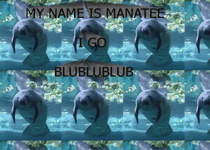 MANATEE GO BLUBLUBLUB