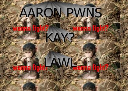 AaronPWNS