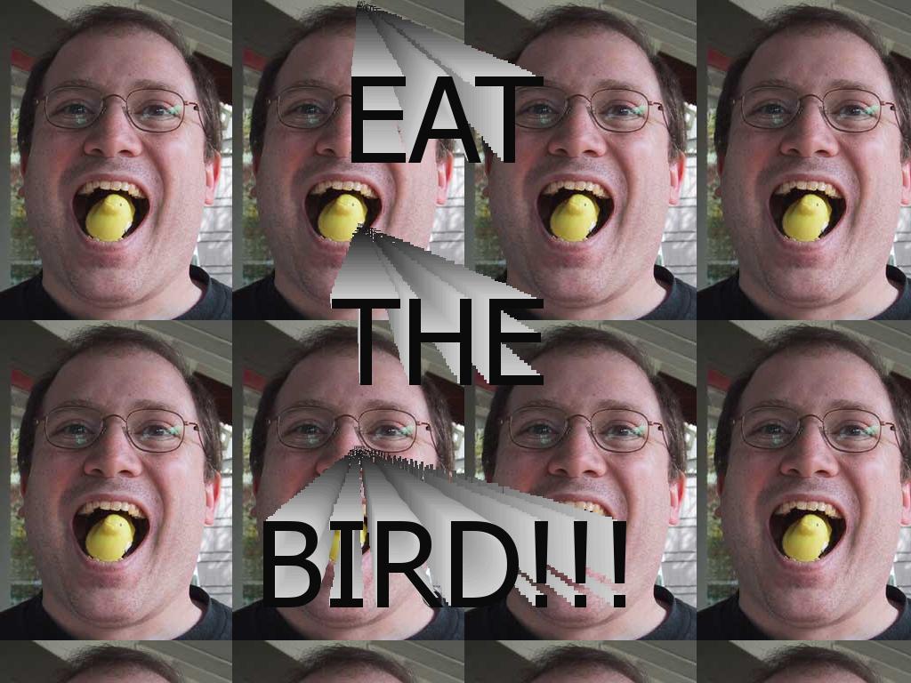 eatthebird