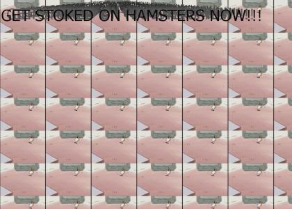 hamster stoke