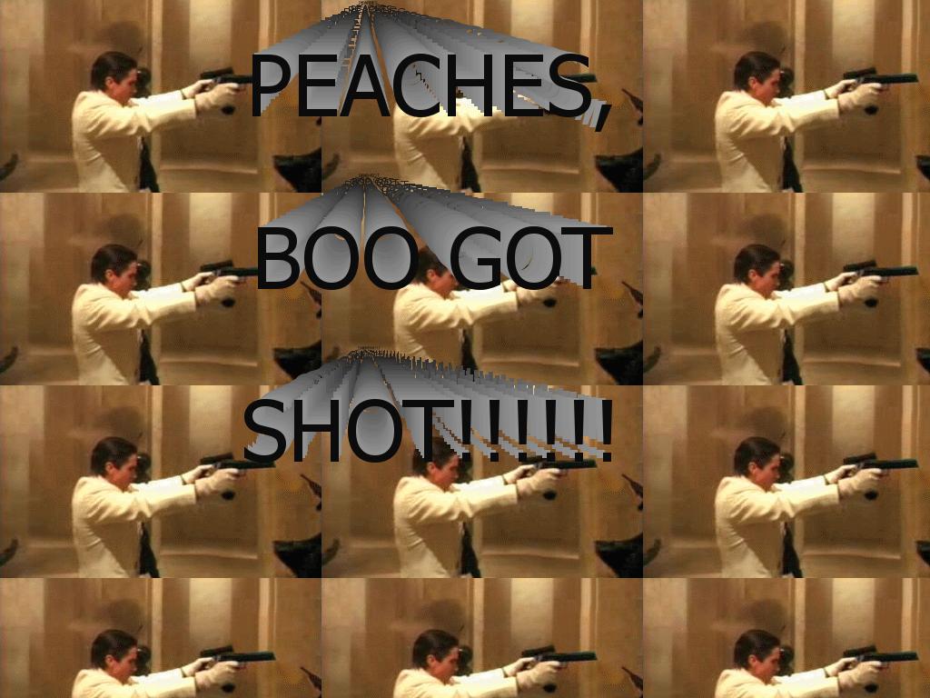 booshot