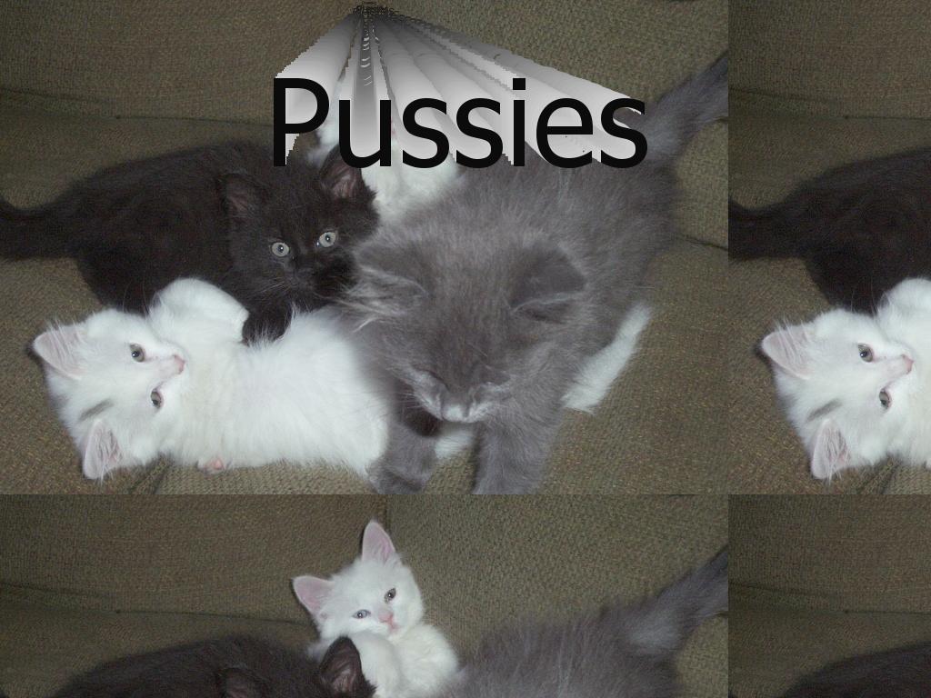 pussies