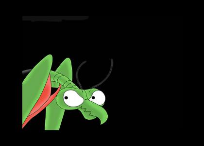 zorak checks